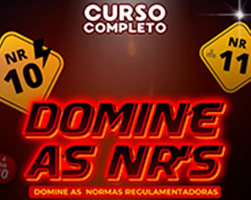 Curso - Guia das NR´s Comentadas  Explicadas